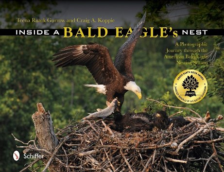 Inside the Bald Eagle's nest